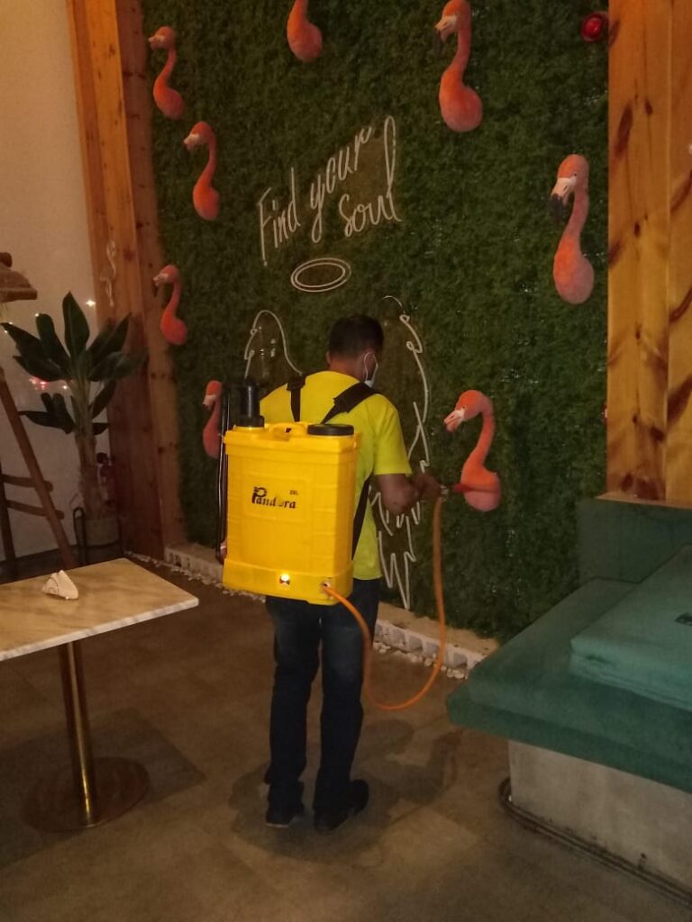 شركة مكافحة حشرات براس الغار