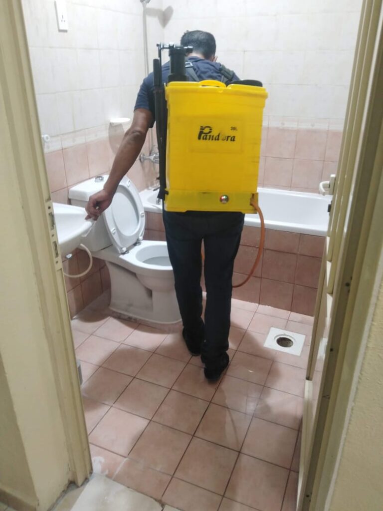 شركة مكافحة حشرات بالشعلة